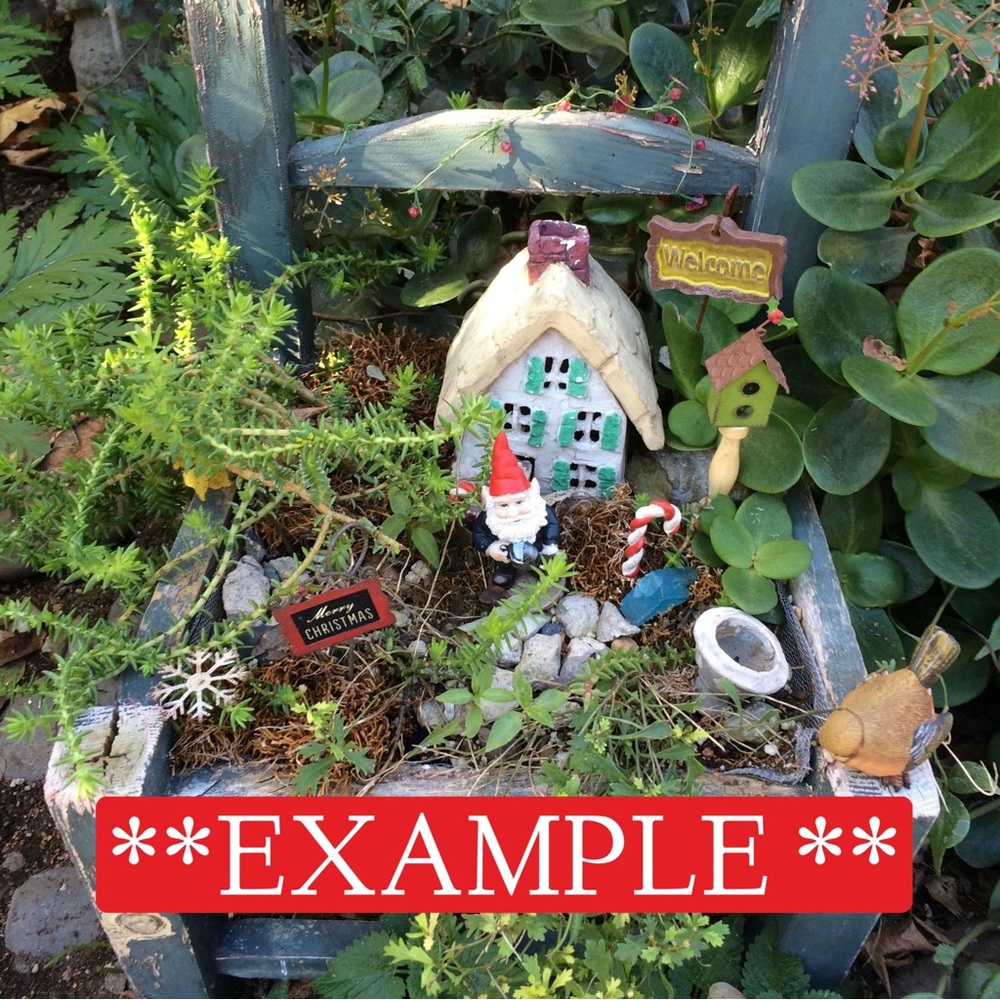 CARDINAL CREST FAIRY GARDEN - Picture 16 of 16